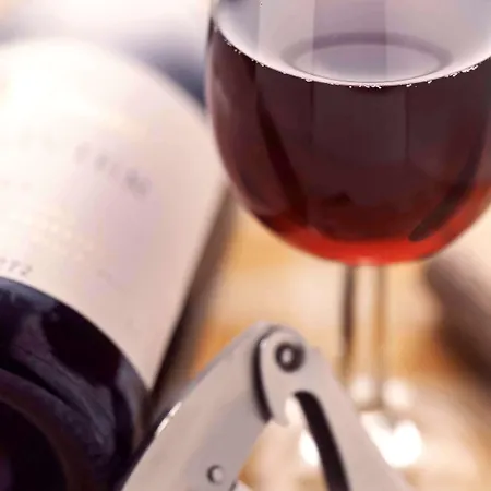 Ibis La Baule ポミシェ